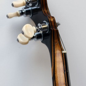 epiphone_neck