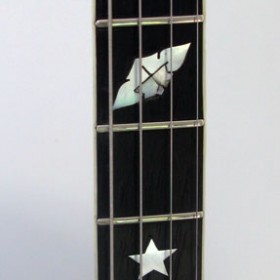 neck_inlay