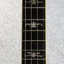 Ludwig_Bellevue_neck_inlay