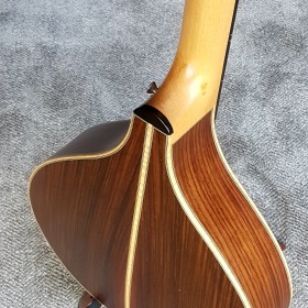 oakwood-cittern-01