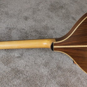 oakwood-cittern-11