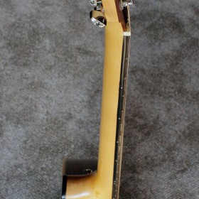 oakwood-cittern-12