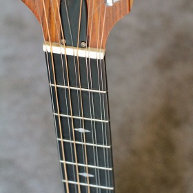 oakwood-cittern-17