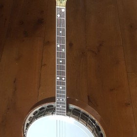 Epiphone-Peerless-02