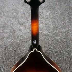 Capek-Mandolin-04