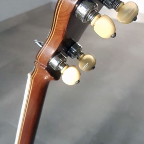 Epiphone-Recording-A-08