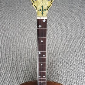 epiphone-peerless-01